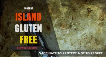 Is Goose Island Gluten-Free? Exploring Beer Options for Celiac Drinkers
