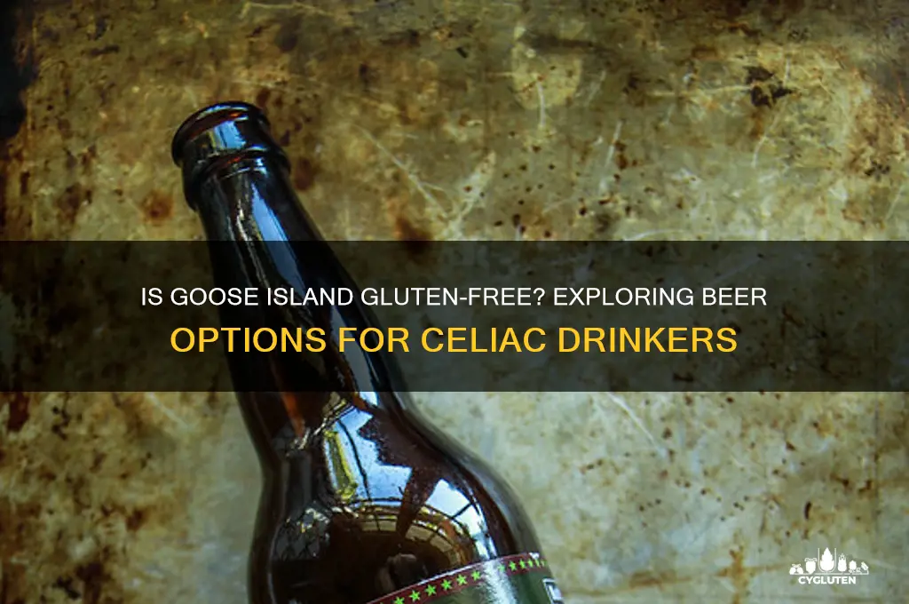 is goose island gluten free