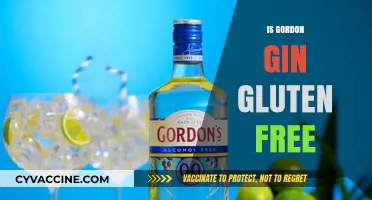 Is Gordon's Gin Gluten-Free? A Complete Guide for Gin Lovers