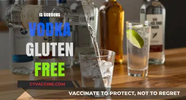 Is Gordon's Vodka Gluten-Free? A Complete Guide for Drinkers