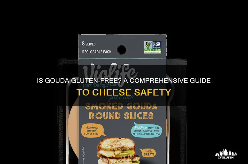 is gouda gluten free