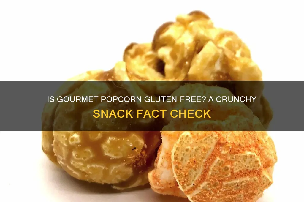 is gourmet popcorn gluten free