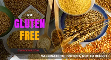 Is GR Gluten Free? Unraveling the Facts for a Healthy Diet
