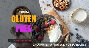 Is Gr8nola Gluten-Free? Unveiling the Truth About This Popular Granola