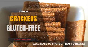 Are Graham Crackers Gluten-Free? A Comprehensive Guide for Celiacs