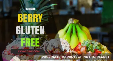 Is Grain Berry Gluten-Free? Unraveling the Truth for Your Diet