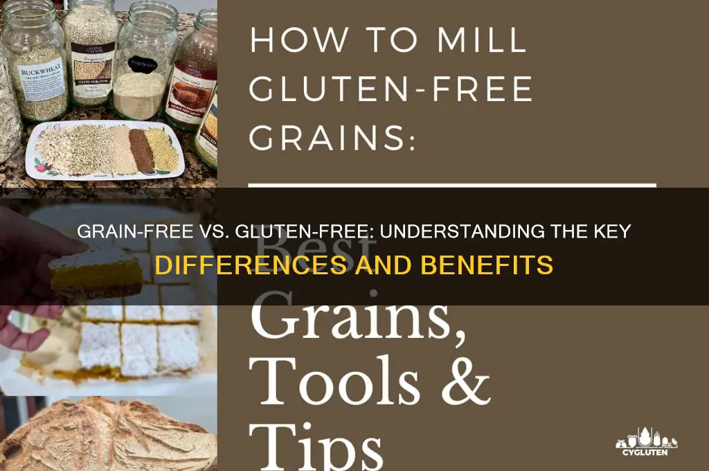 is grain-free gluten-free