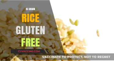Is Grain Rice Gluten-Free? Unraveling the Truth for Celiac Diets