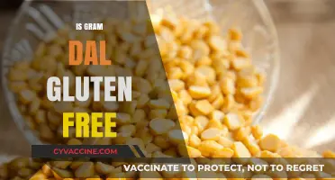 Is Gram Dal Gluten-Free? A Complete Guide for Dietary Needs