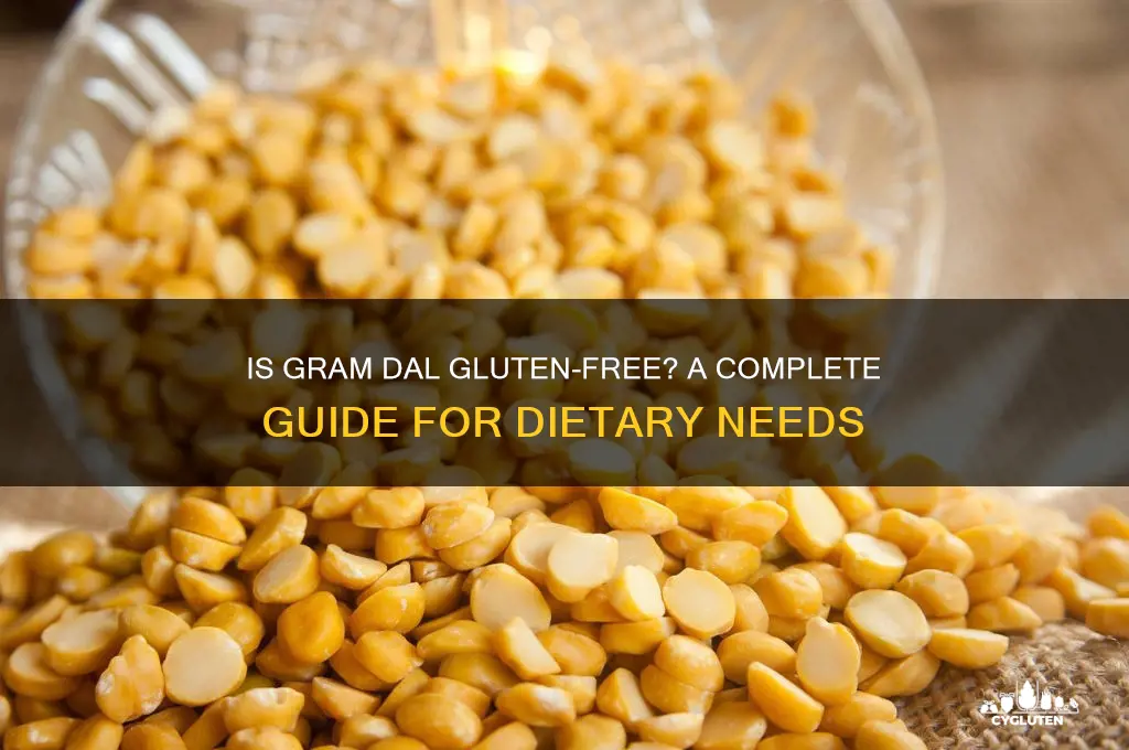 is gram dal gluten free