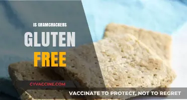 Are Gram Crackers Gluten-Free? Unraveling the Crumbly Truth