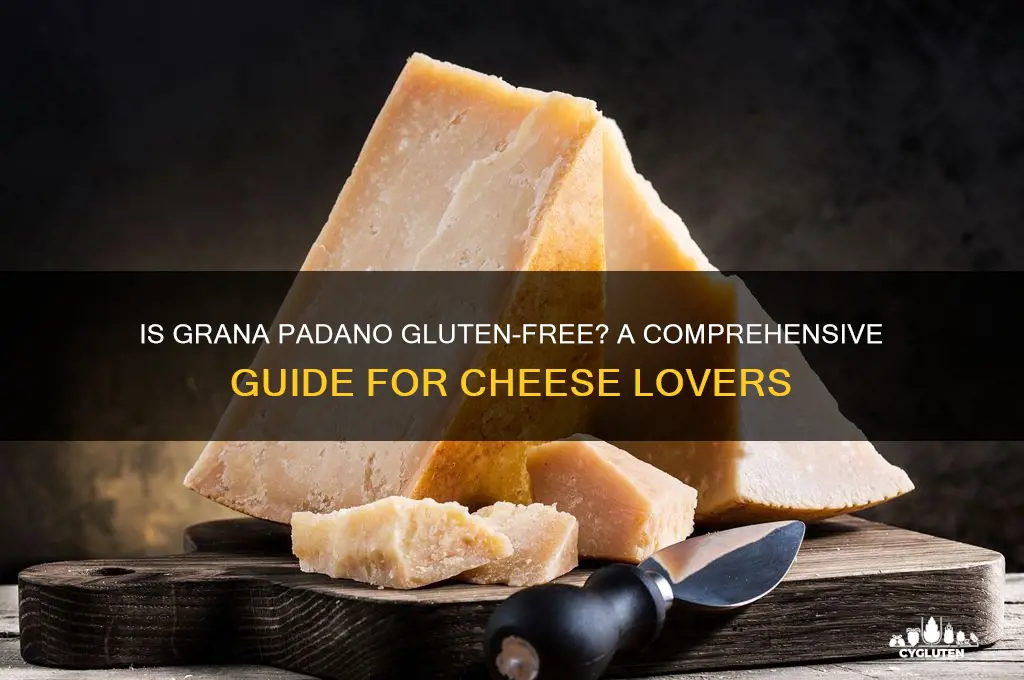 is grana padano gluten free
