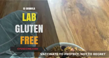 Is Granola Lab Gluten-Free? A Detailed Review and Analysis