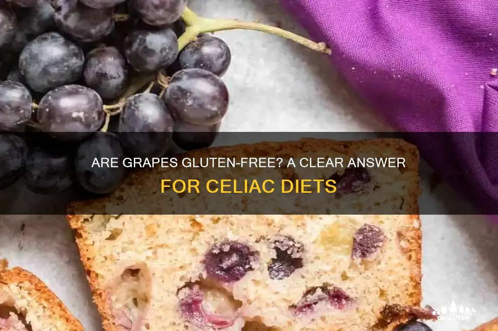 is grape gluten free