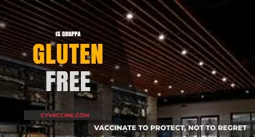 Is Grappa Gluten-Free? Uncovering the Truth for Celiac Drinkers