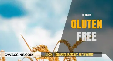 Is Grass Gluten-Free? Exploring the Facts for a Healthy Diet