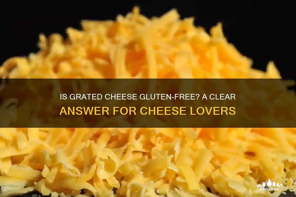 is grated cheese gluten free