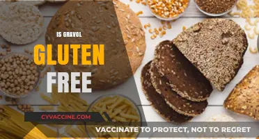 Is Gravol Gluten-Free? A Comprehensive Guide for Celiac Sufferers