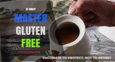 Is Gravy Master Gluten Free? A Complete Guide for Celiacs