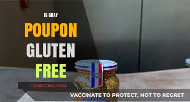 Is Gray Poupon Gluten-Free? A Complete Guide for Mustard Lovers