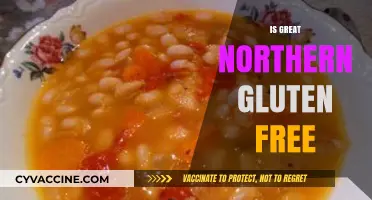 Is Great Northern Gluten-Free? Unraveling the Truth for Your Diet