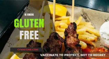 Is Greek Food Gluten-Free? Exploring Traditional Dishes and Options