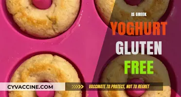 Is Greek Yogurt Gluten-Free? A Clear Answer for Your Diet