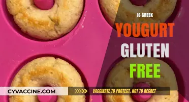 Is Greek Yogurt Gluten-Free? A Complete Guide for Celiac Diets
