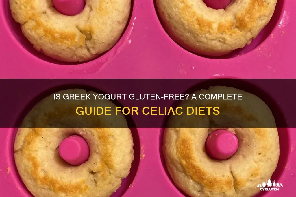 is greek yougurt gluten free