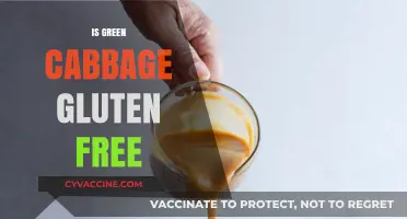 Is Green Cabbage Gluten-Free? A Clear Answer for Your Diet