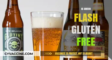 Is Green Flash Gluten-Free? Unveiling the Truth for Beer Lovers