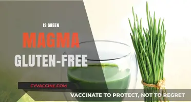 Is Green Magma Gluten-Free? A Comprehensive Guide to Its Ingredients
