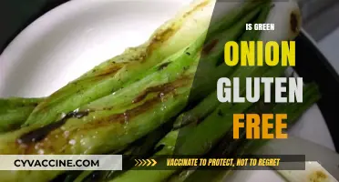 Are Green Onions Gluten-Free? A Clear Answer for Your Diet