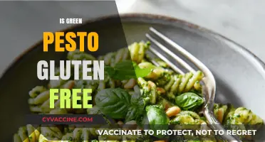 Is Green Pesto Gluten Free? A Complete Guide for Celiacs