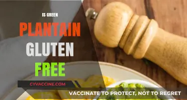 Is Green Plantain Gluten-Free? A Comprehensive Guide for Celiac Diets