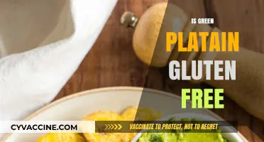 Is Green Plantain Gluten-Free? A Comprehensive Guide for Celiac Diets