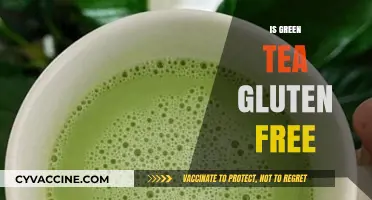 Is Green Tea Gluten-Free? A Complete Guide for Celiac Sufferers