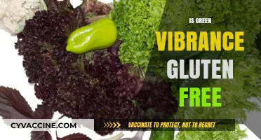 Is Green Vibrance Gluten-Free? A Comprehensive Guide to Ingredients