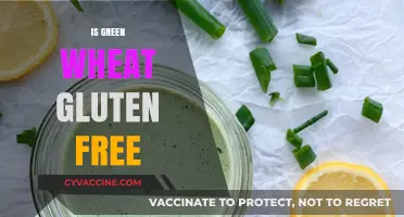 Is Green Wheat Gluten-Free? Unraveling the Truth for Celiac Diets