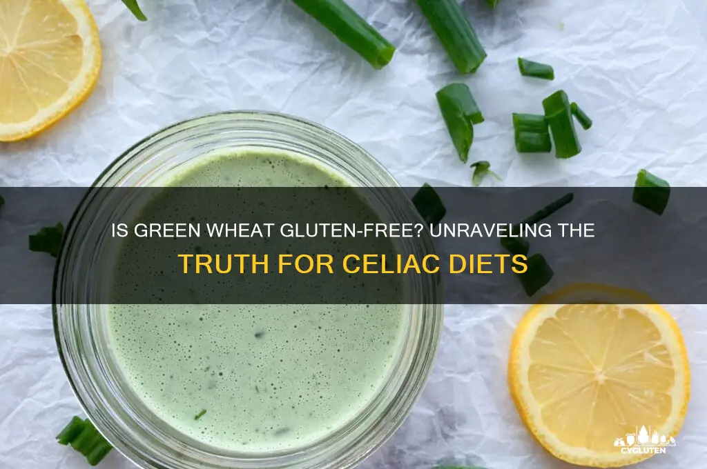 is green wheat gluten free