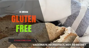 Is Gressa Gluten-Free? Unveiling the Truth for Your Diet