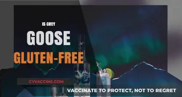 Is Grey Goose Gluten-Free? Uncovering the Truth for Celiac Drinkers