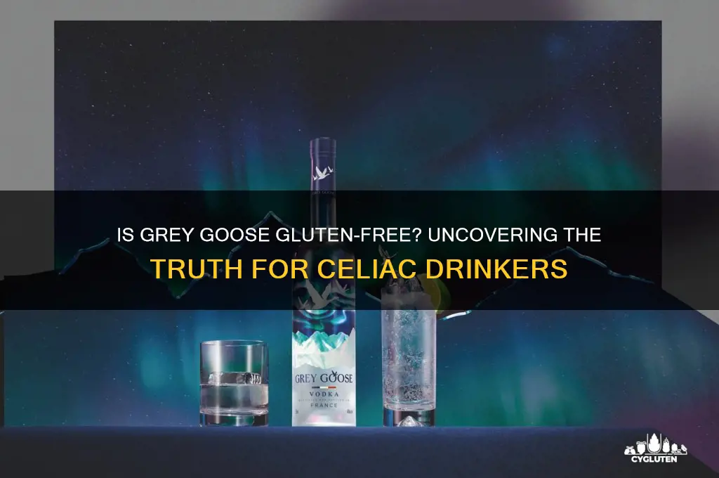 is grey goose gluten-free