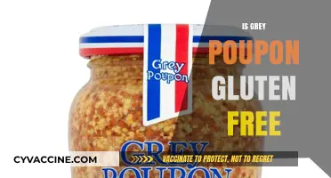Is Grey Poupon Gluten-Free? A Complete Guide for Dietary Needs
