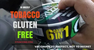 Is Grizzly Tobacco Gluten-Free? Uncovering the Truth for Consumers