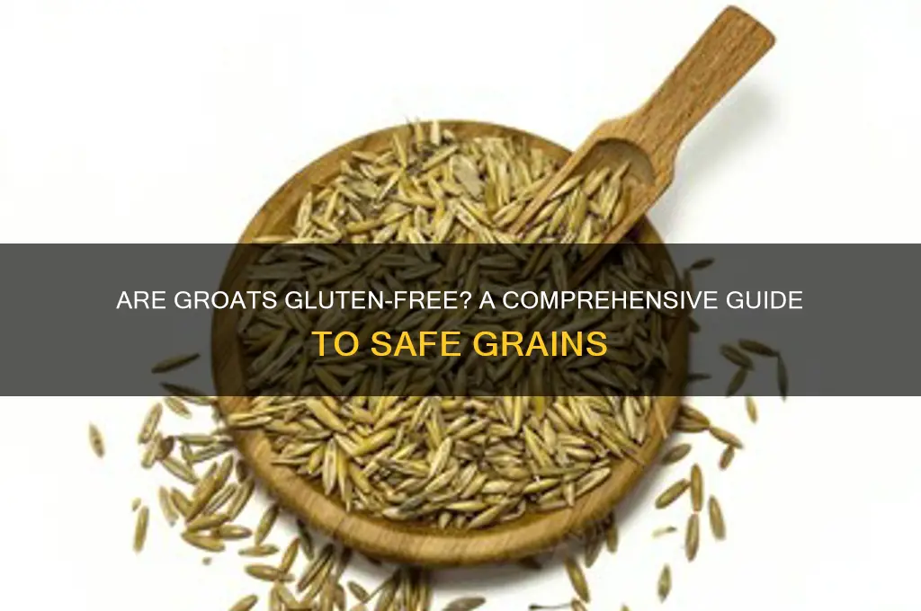 is groats gluten free