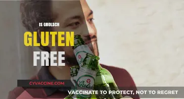 Is Grolsch Gluten-Free? Exploring the Beer's Ingredients and Safety