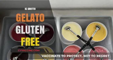 Is Grotto Gelato Gluten-Free? A Sweet and Safe Guide