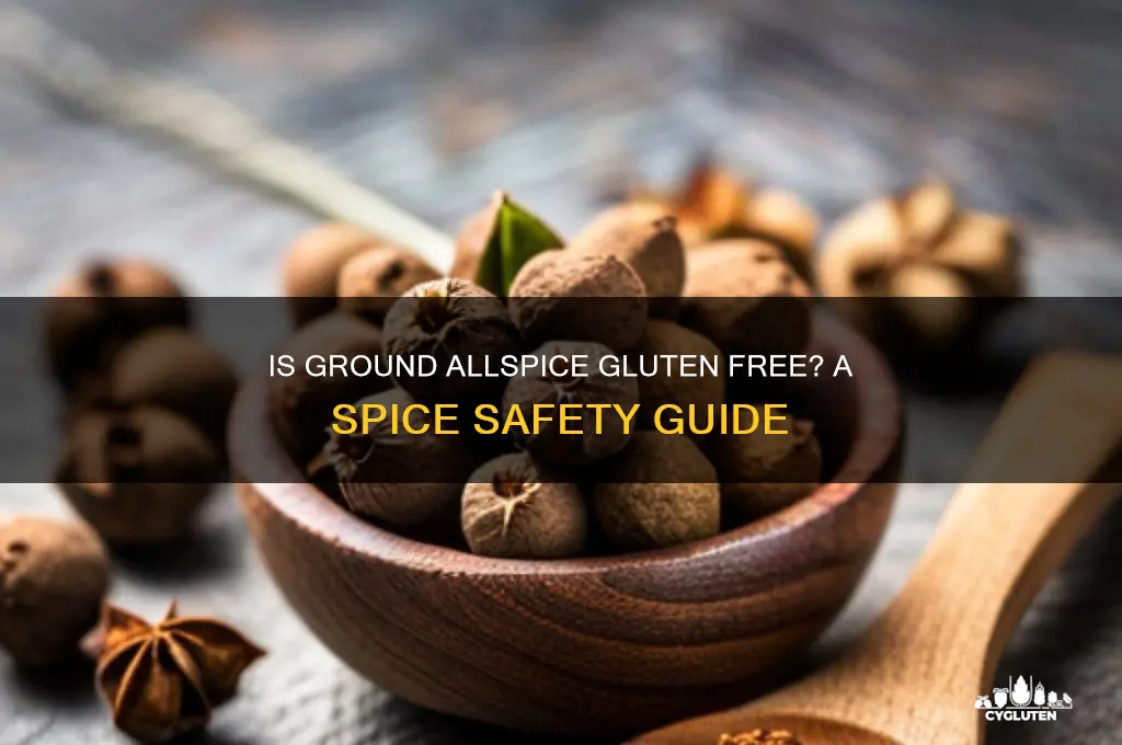 is ground allspice gluten free
