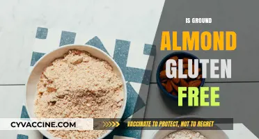 Is Ground Almond Gluten-Free? A Nutty Dietary Insight